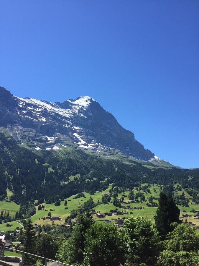 Apartment Jungfrau Lodge Grindelwald Eksteriør billede